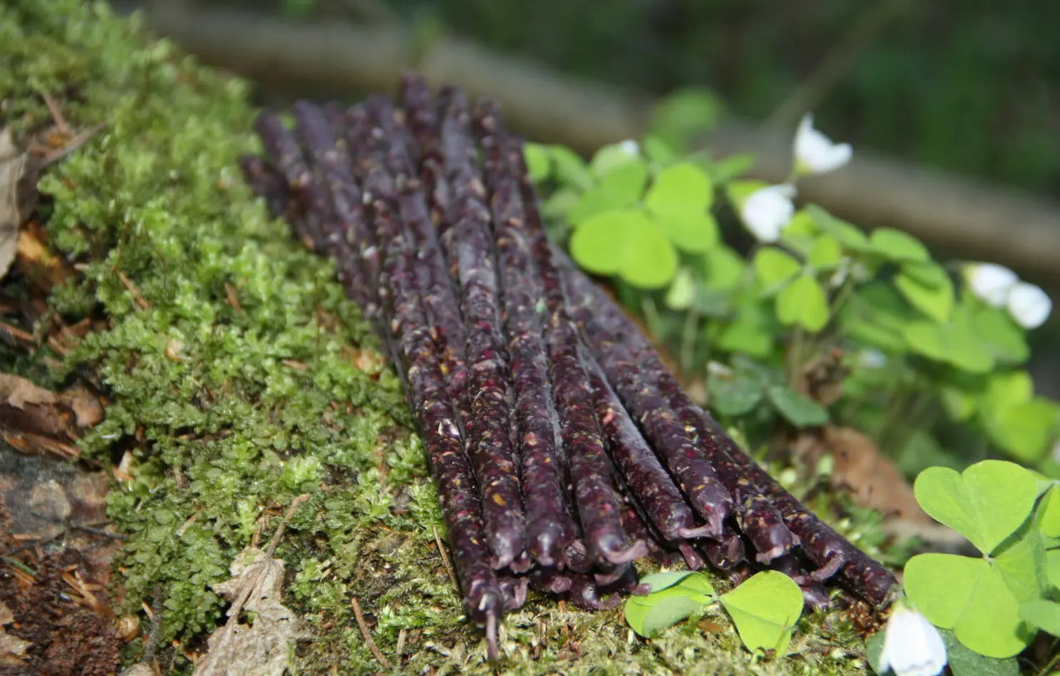 Свеча "Благодарность роду" (малая) — изображение 3