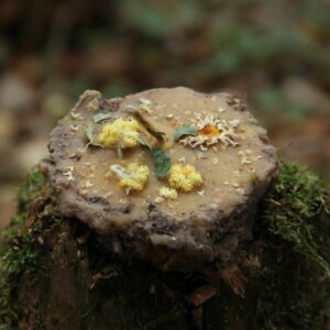 Земляная свеча "ВОССТАНОВЛЕНИЕ"