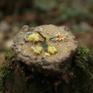 Земляная свеча "ВОССТАНОВЛЕНИЕ"