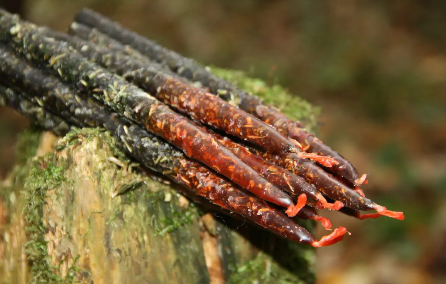 Свеча-чистка: "От зависти, сплетен, сглаза" — изображение 5