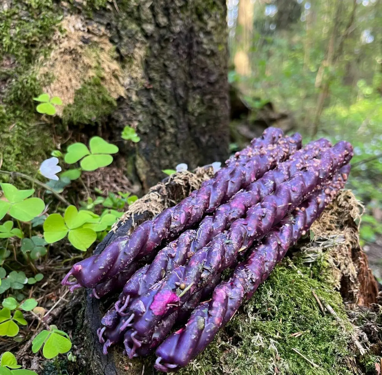 Свеча-скрутка "Благодарность роду" — изображение 2