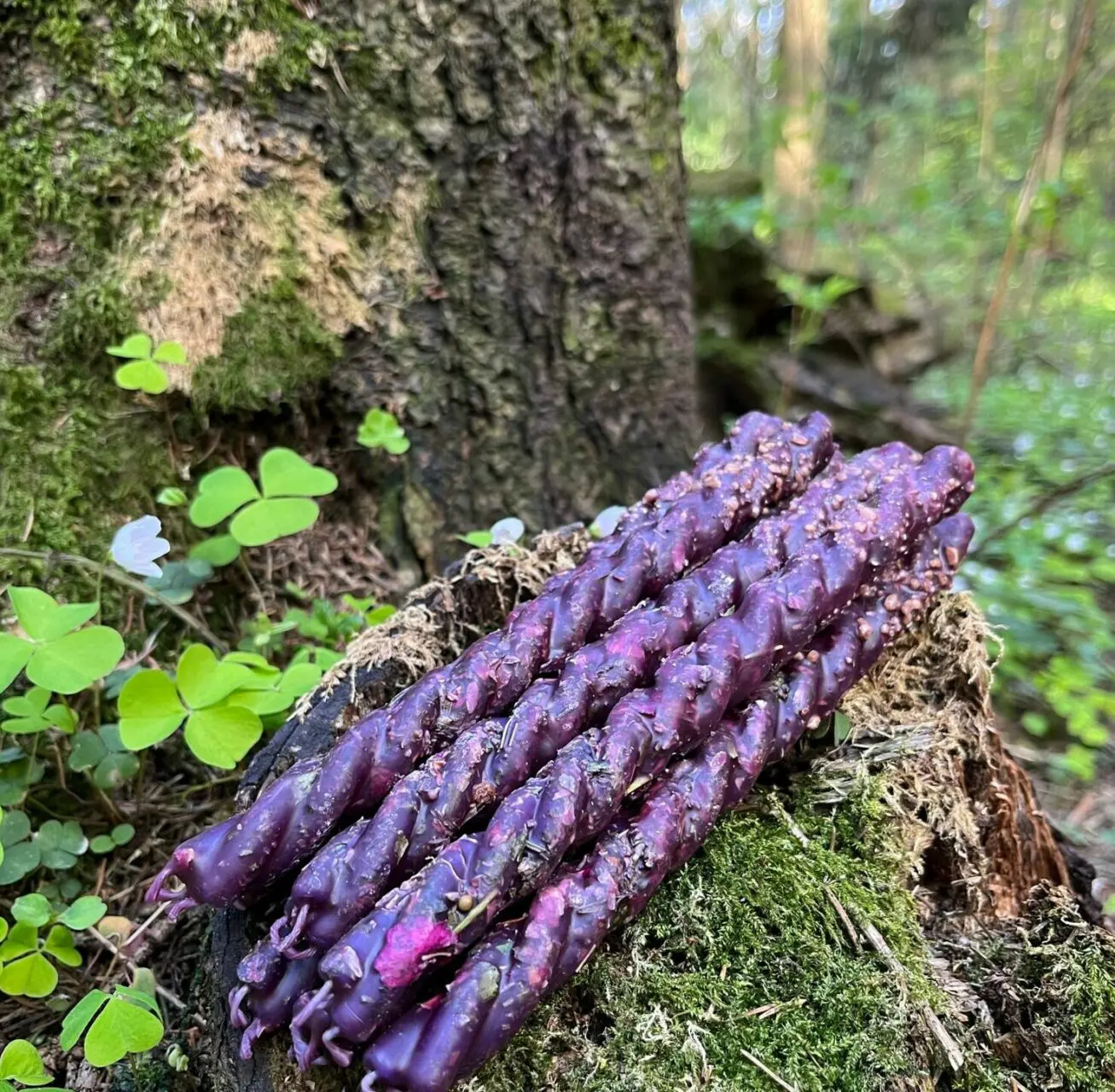 Свеча-скрутка "Благодарность роду" — изображение 3