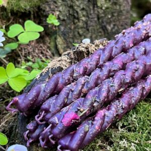 Свеча-скрутка "Благодарность роду"