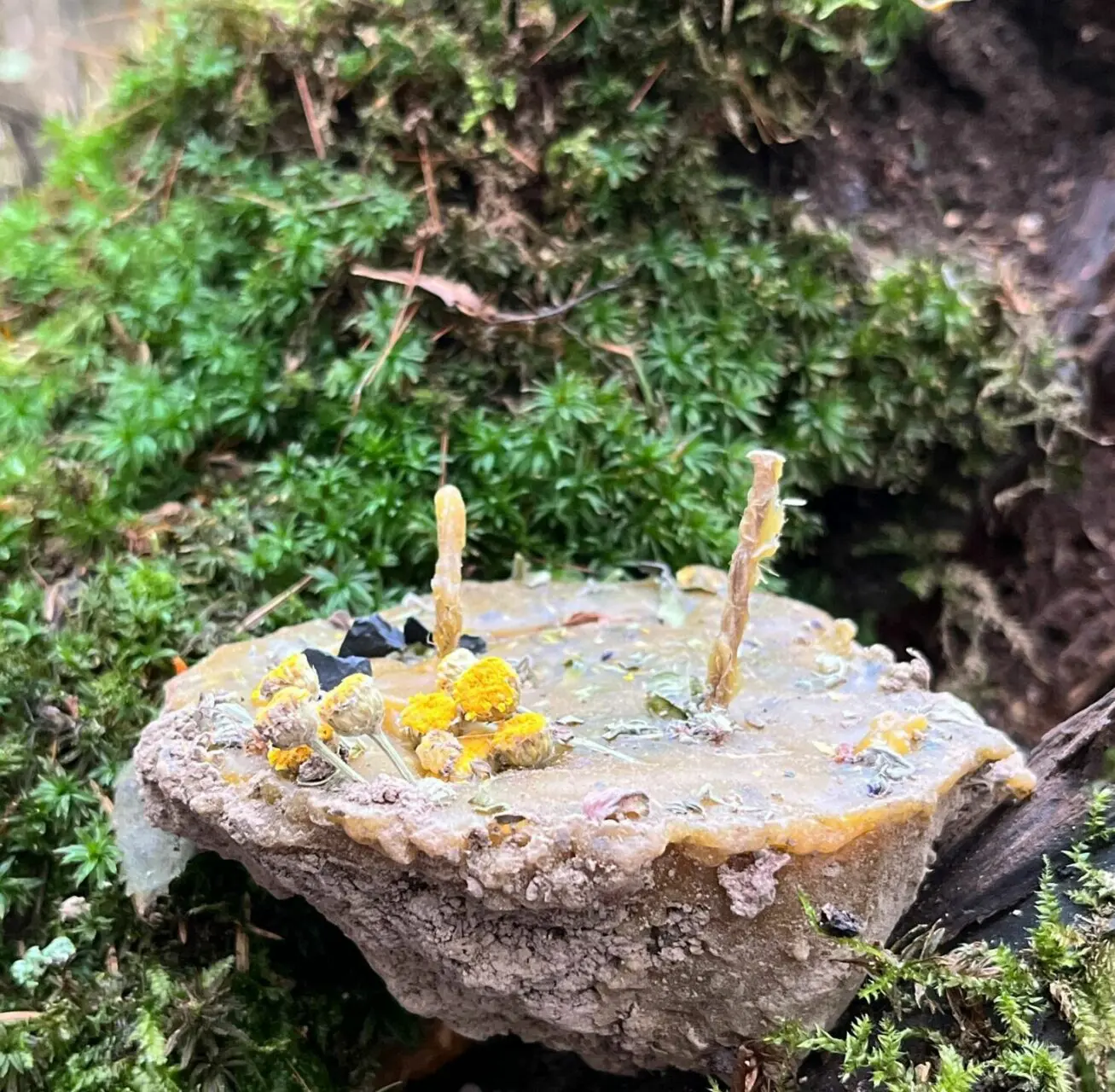 Земляная свеча "Очищение" — изображение 3