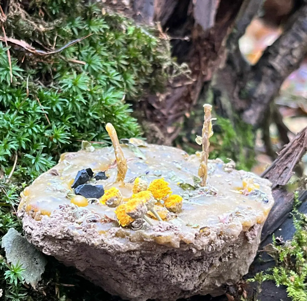 Земляная свеча "Очищение"