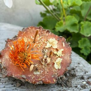 Свечи Бельтайна: Земляная свеча "Процветание"